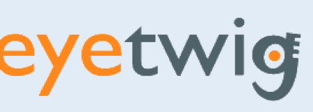 Logo eyetwig