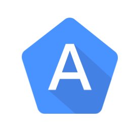 logo Google Accessibility
