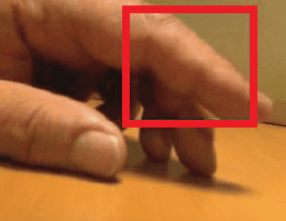 Switch Viacam - Détection de l’élévation d’un doigt depuis une webcam mobile