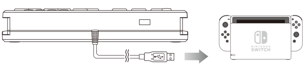 Schéma de connexion du Flex Controller sur la console Switch