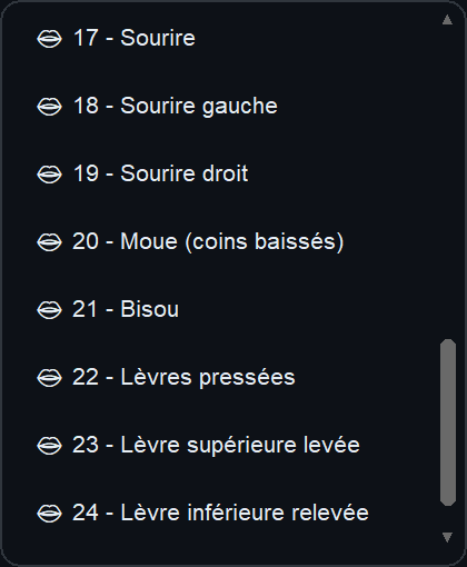 Accessibility Controller - Macro multi-Mimiques 17 à 24