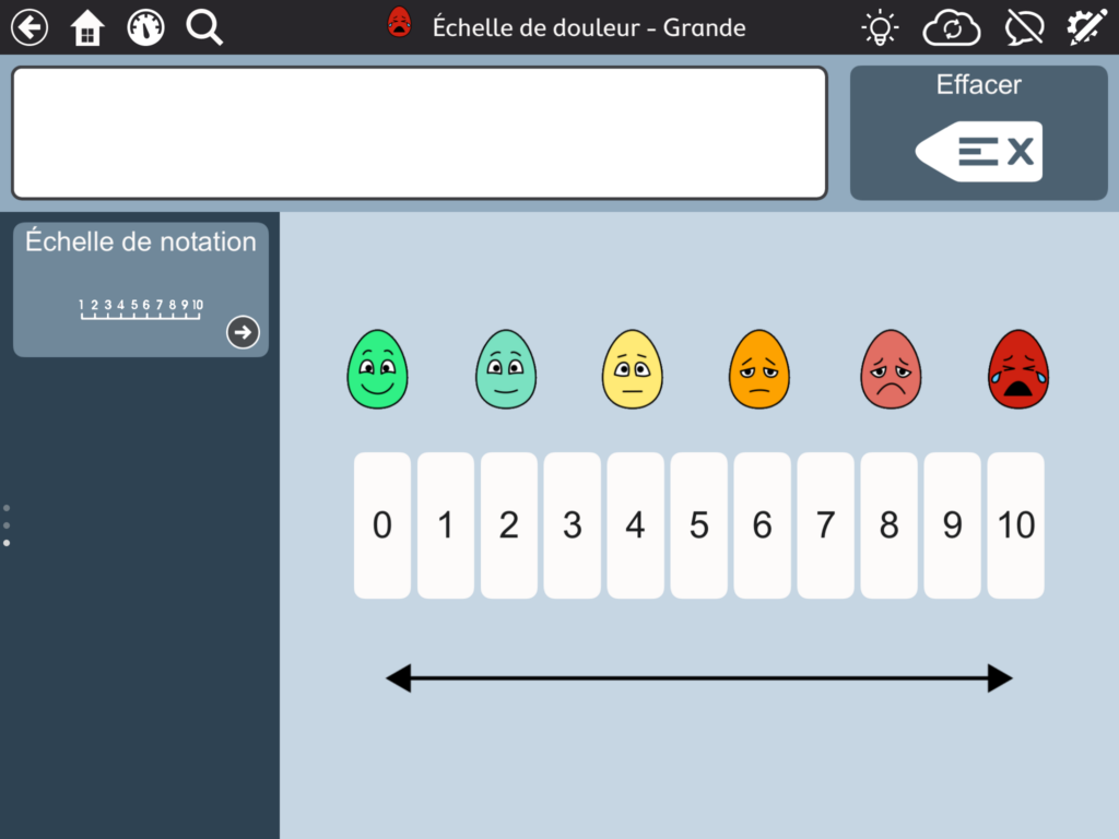 image Echelle de douleurs - grande